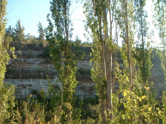 קובץ:Zafzafot wadi yoel.jpg