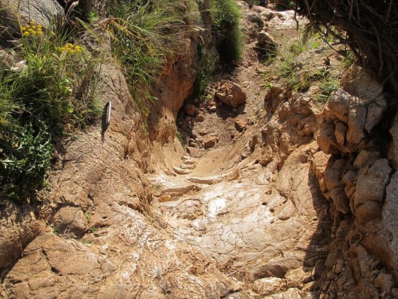 קובץ:Wadi yitzpor3.jpg
