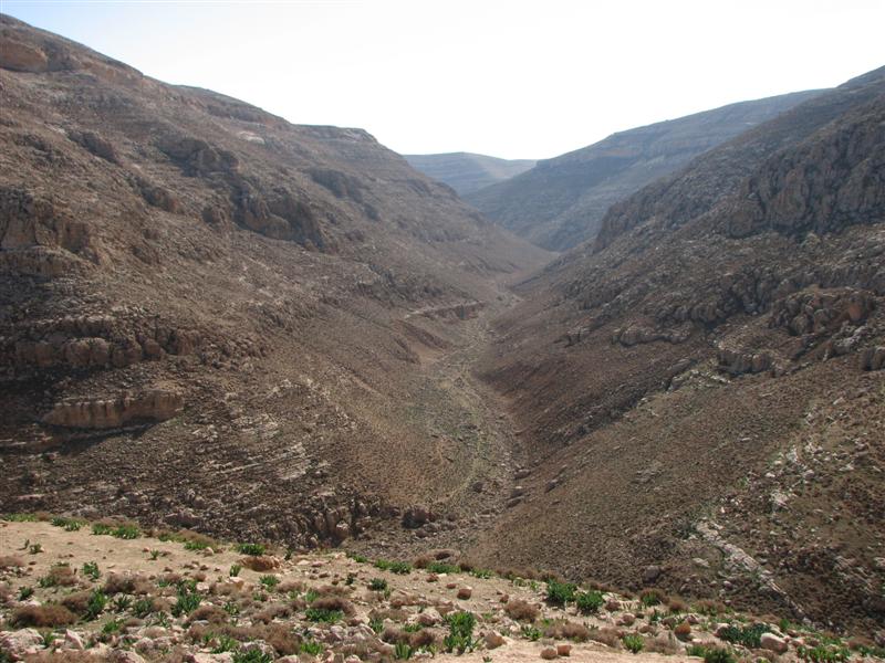 קובץ:El kanub.jpg
