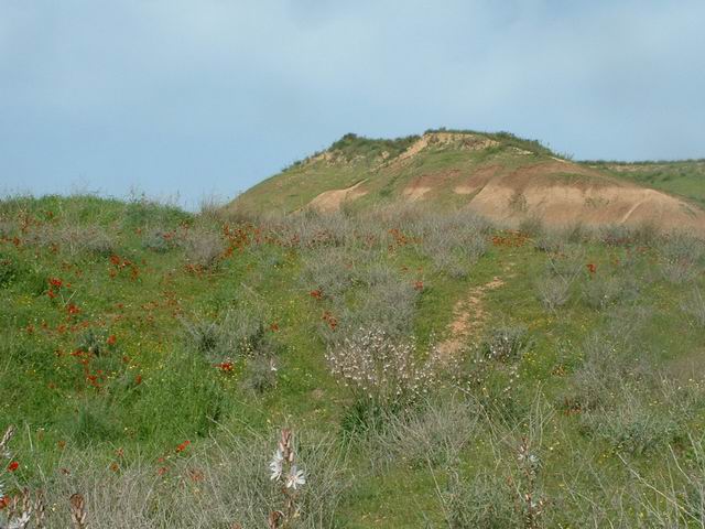 קובץ:Beeri reserve.jpg