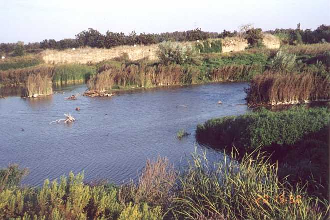 קובץ:Udim swamp.jpg
