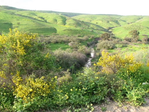 קובץ:Lower wadi tavor.jpg
