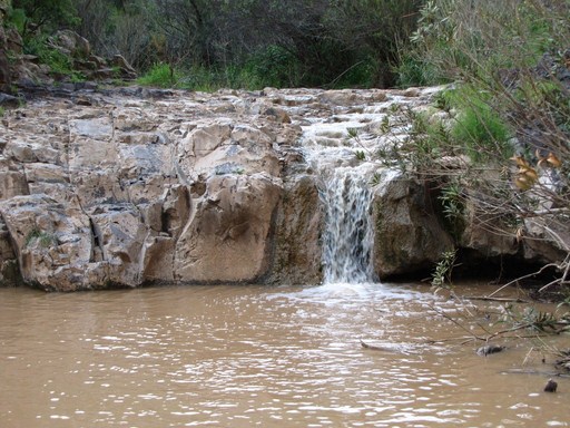 קובץ:Bazelet pool.jpg