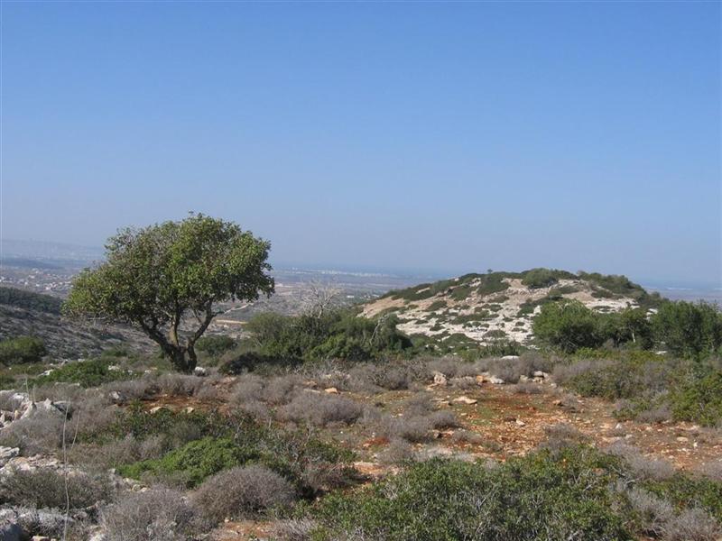 קובץ:Har kipa.jpg