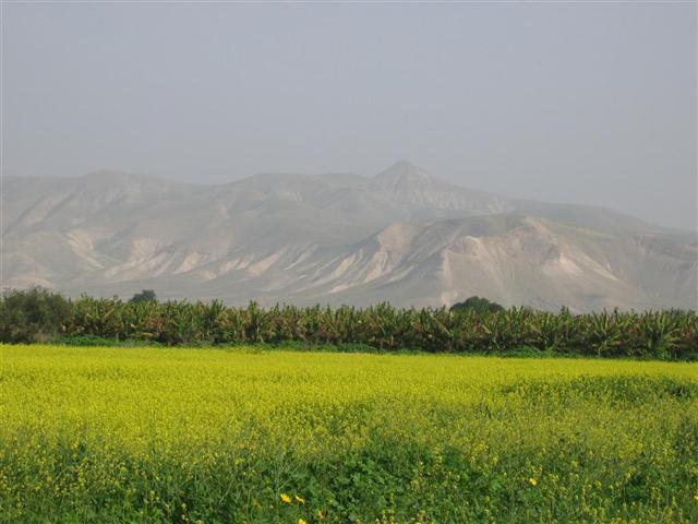 קובץ:Sartaba far.jpg