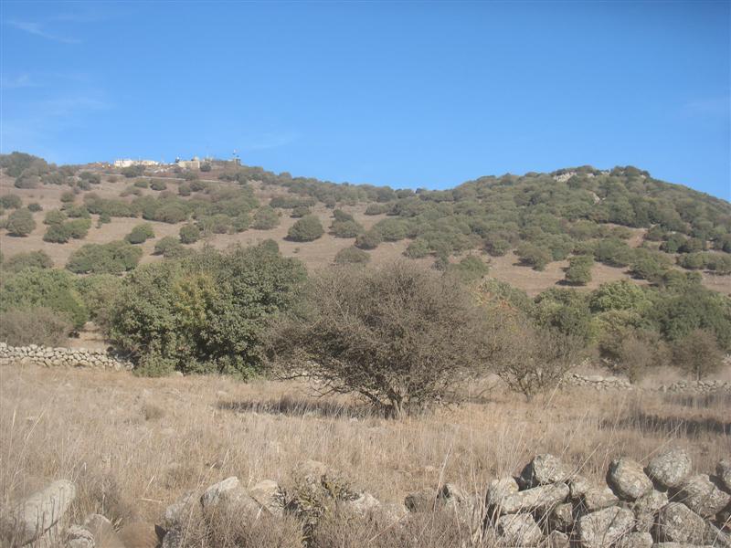 קובץ:Bashanit ridge.jpg