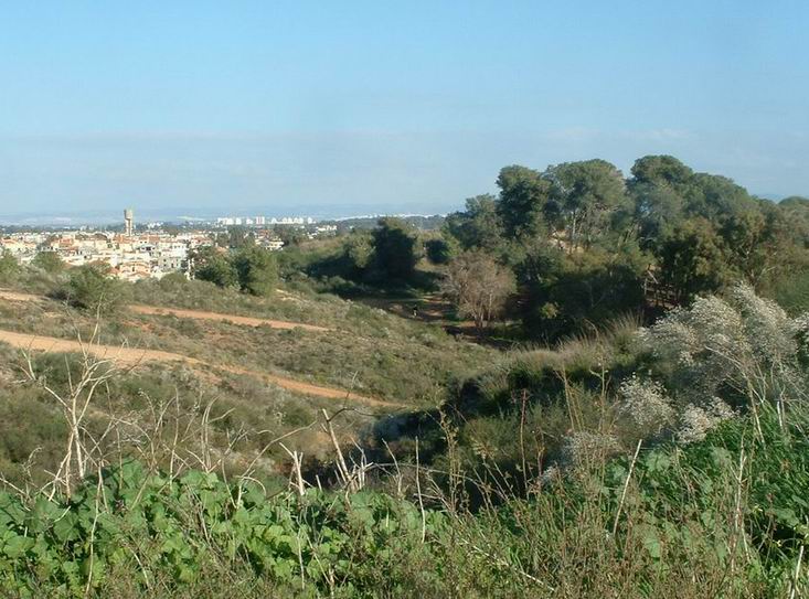קובץ:Nes ziyona.jpg