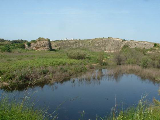 קובץ:Poleg pool.jpg