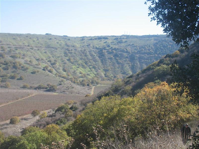 קובץ:Har avital.jpg