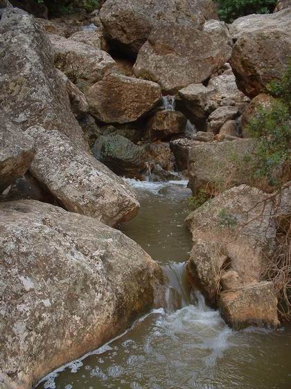 קובץ:Wadi kedesh1.jpg