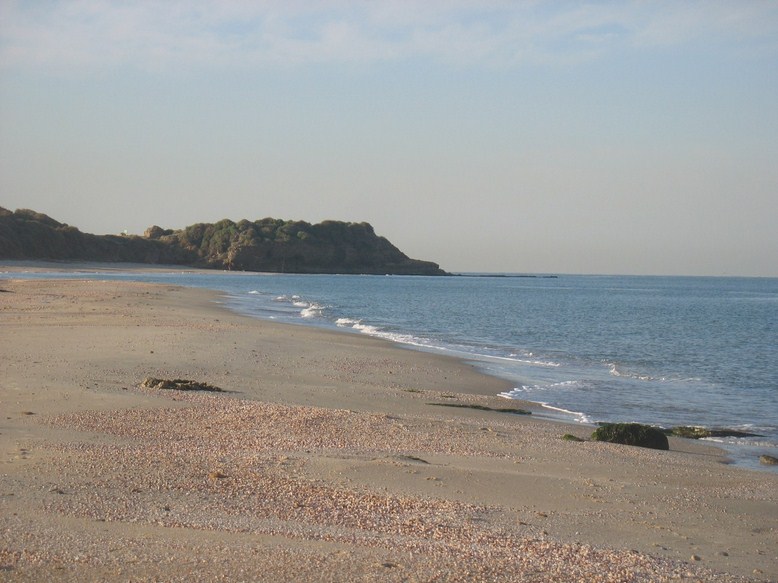 קובץ:Yavne yam view.jpg