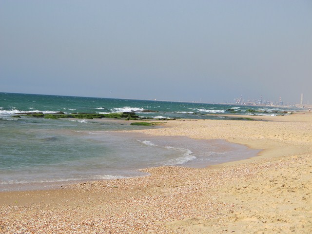קובץ:Nizanim beach3.jpg
