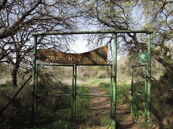 קובץ:Aloney yizhak1.jpg