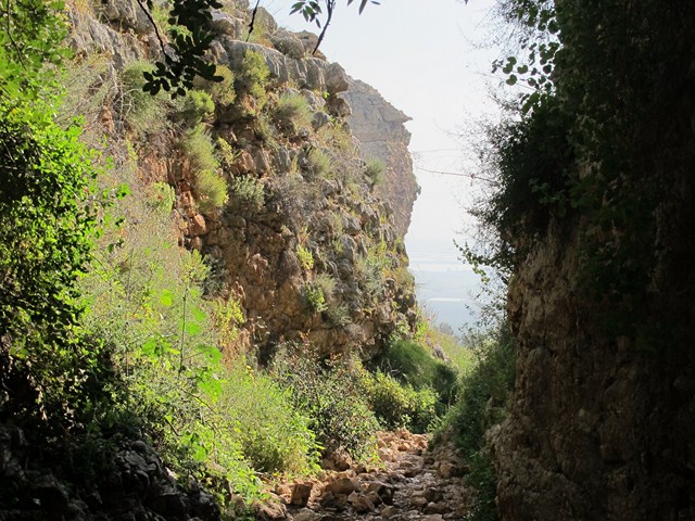קובץ:Wadi yitzpor4.jpg