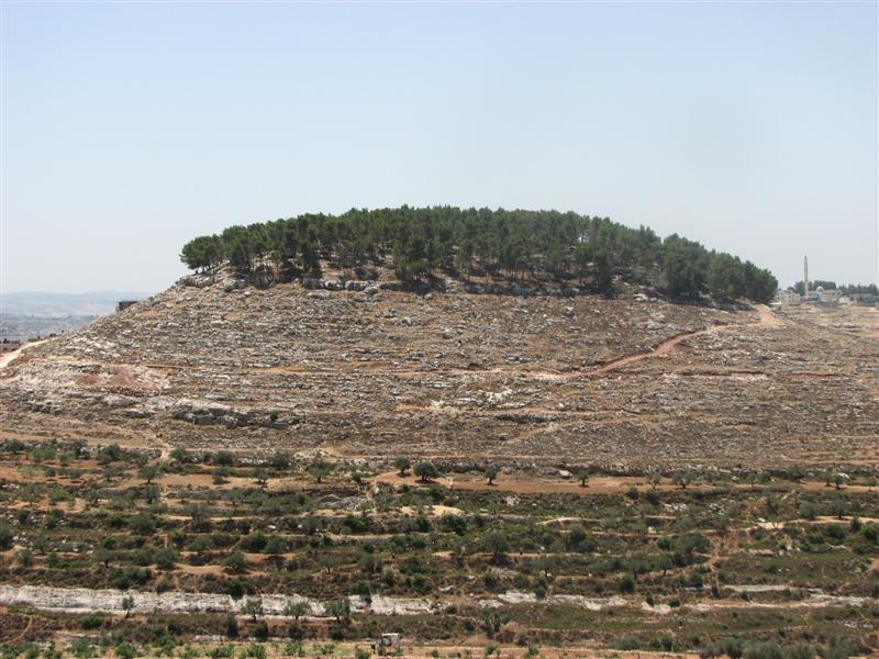 קובץ:Nabi ghit.jpg