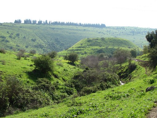 קובץ:Tel rechesh.jpg