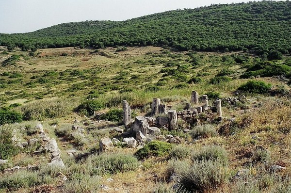 קובץ:Sumaka0503.jpg