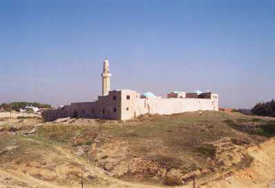 קובץ:Sidna ali.jpg