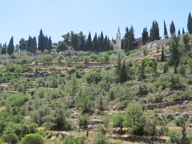קובץ:Ein kerem.jpg