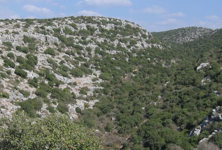 קובץ:Wadi yizhar.jpg