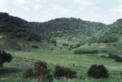 קובץ:Alon valley.jpg