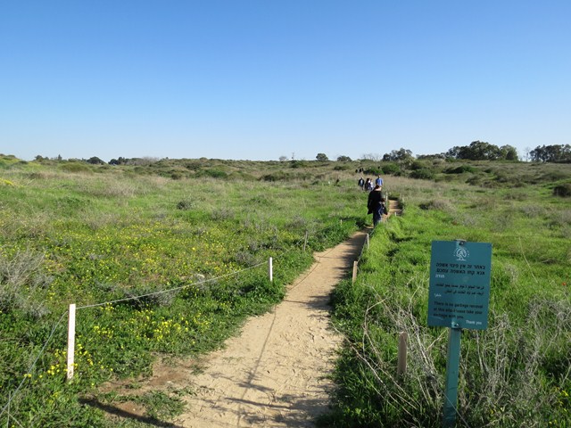 קובץ:Haruzim ridge1.jpg
