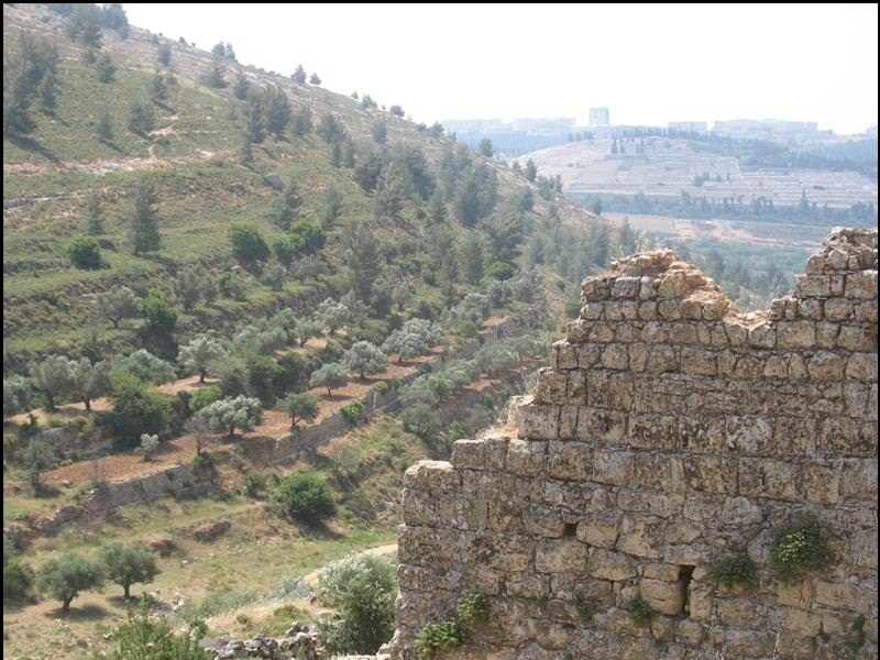 קובץ:Hurvat luza.jpg