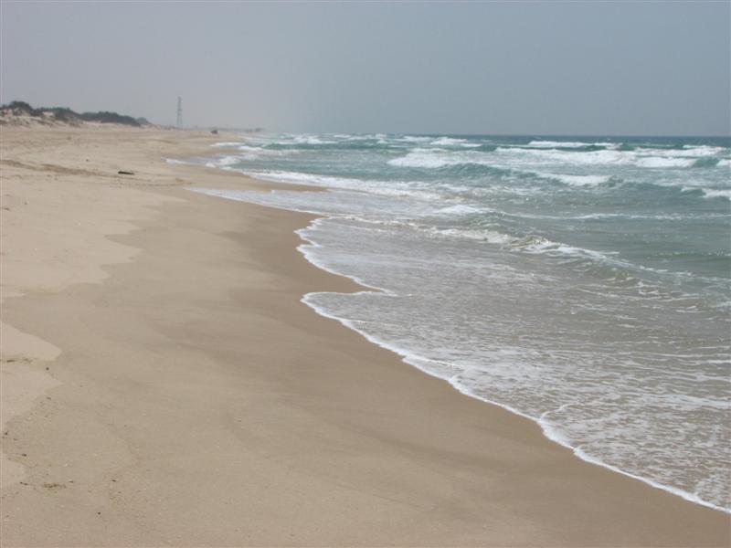 קובץ:Yam shikma.jpg