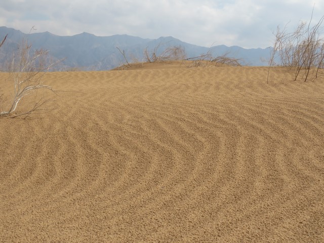 קובץ:Samar dunes.jpg
