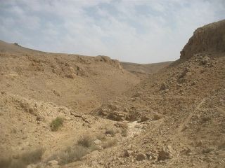 Wadi tavya1.jpg
