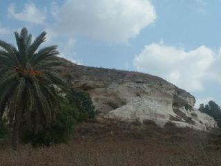 תל צפית