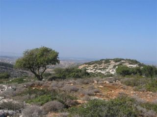 הר כיפה