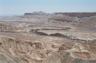 מבט מאחוזת קבר בן-גוריון למצוק הצינים