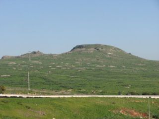 קרני חיטים