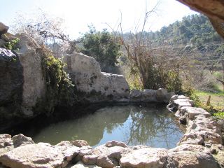 Ein sarig1.jpg