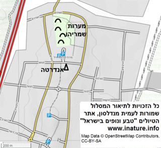 לחצו על המפה להגדלה