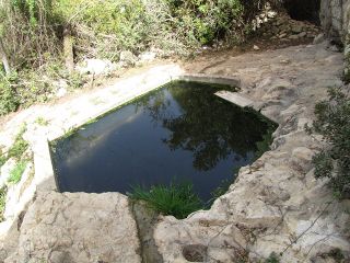 Boker springs1.jpg