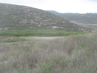 שמורת בתות מנשה