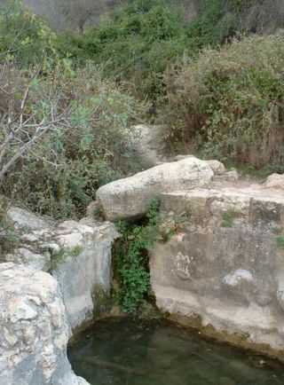 עין גיורא