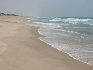 שמורת ים שקמה