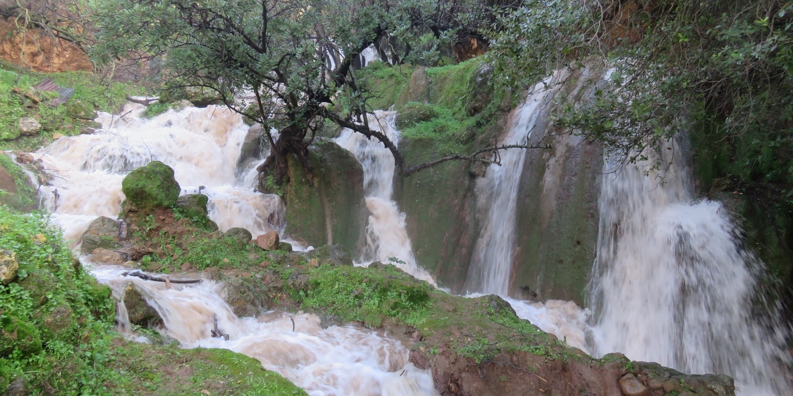 מפלים בצפון.jpg