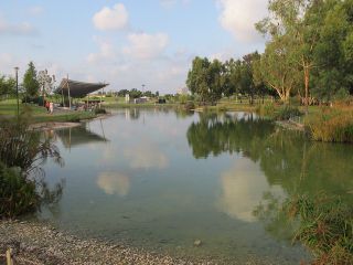 האגם המלאכותי בפארק הרצליה