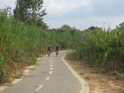 Yarkon path bav1.jpg