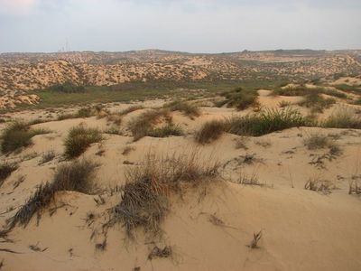 Ntiv haasara sands.jpg