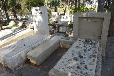 Kinneret cemetry1.jpg