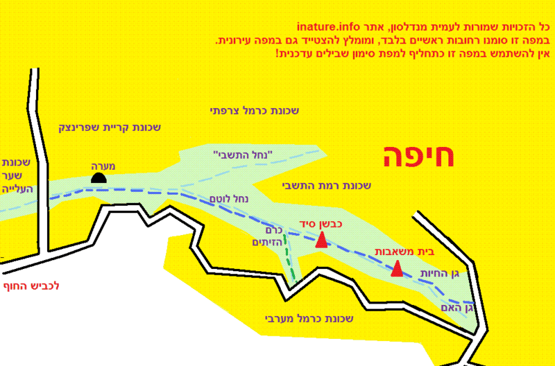 קובץ:Wadi lotem.gif
