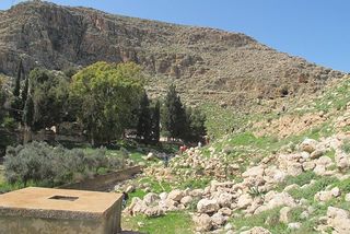 Wadi yitav7.jpg