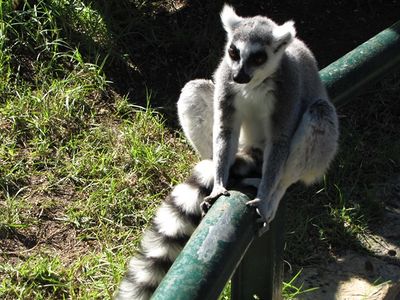 Haifa zoo1.jpg